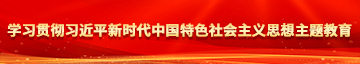 橾逼网学习贯彻习近平新时代中国特色社会主义思想主题教育